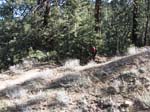 mt-pinos-084