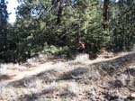 mt-pinos-085