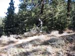 mt-pinos-088