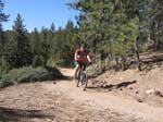 mt-pinos-093