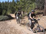 mt-pinos-095