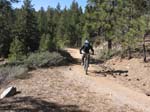 mt-pinos-096