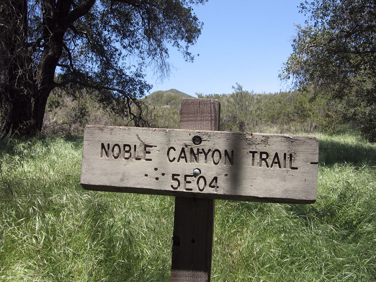 laguna-meadows-to-noble-canyon-074