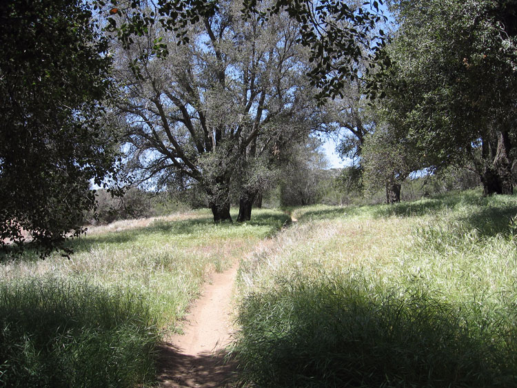 laguna-meadows-to-noble-canyon-075
