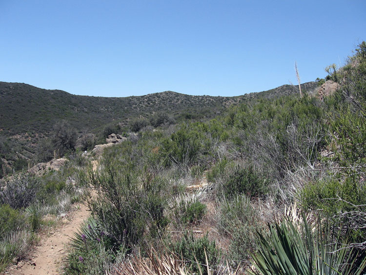 laguna-meadows-to-noble-canyon-080