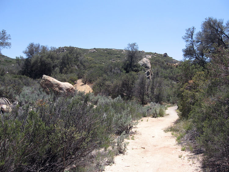 laguna-meadows-to-noble-canyon-092