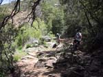 laguna-meadows-to-noble-canyon-065