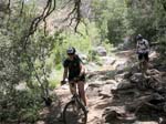 laguna-meadows-to-noble-canyon-066