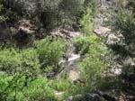 laguna-meadows-to-noble-canyon-067