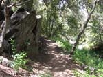 laguna-meadows-to-noble-canyon-068
