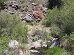 laguna-meadows-to-noble-canyon-069