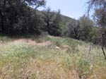 laguna-meadows-to-noble-canyon-072