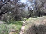 laguna-meadows-to-noble-canyon-073