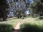 laguna-meadows-to-noble-canyon-075