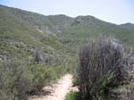 laguna-meadows-to-noble-canyon-076