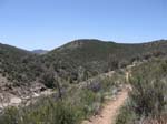 laguna-meadows-to-noble-canyon-079