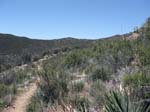 laguna-meadows-to-noble-canyon-080