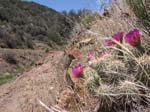 laguna-meadows-to-noble-canyon-084