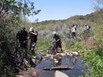 laguna-meadows-to-noble-canyon-090