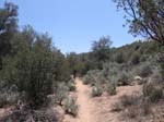 laguna-meadows-to-noble-canyon-091
