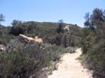 laguna-meadows-to-noble-canyon-092