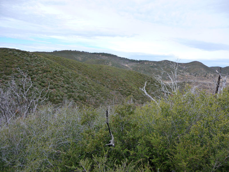 laguna-meadows-noble-canyon-26