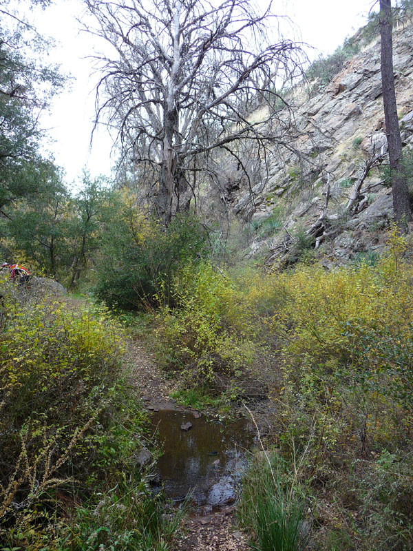 laguna-meadows-noble-canyon-28