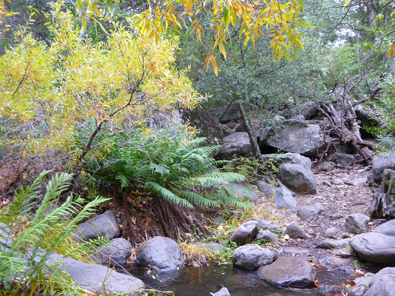 laguna-meadows-noble-canyon-34