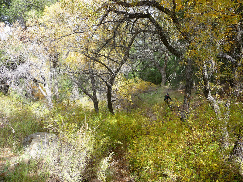 laguna-meadows-noble-canyon-41