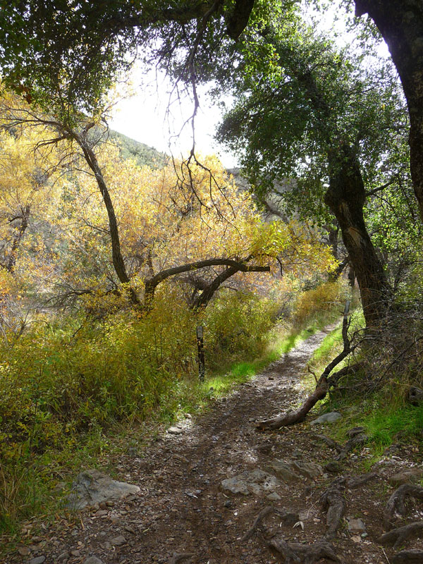 laguna-meadows-noble-canyon-42