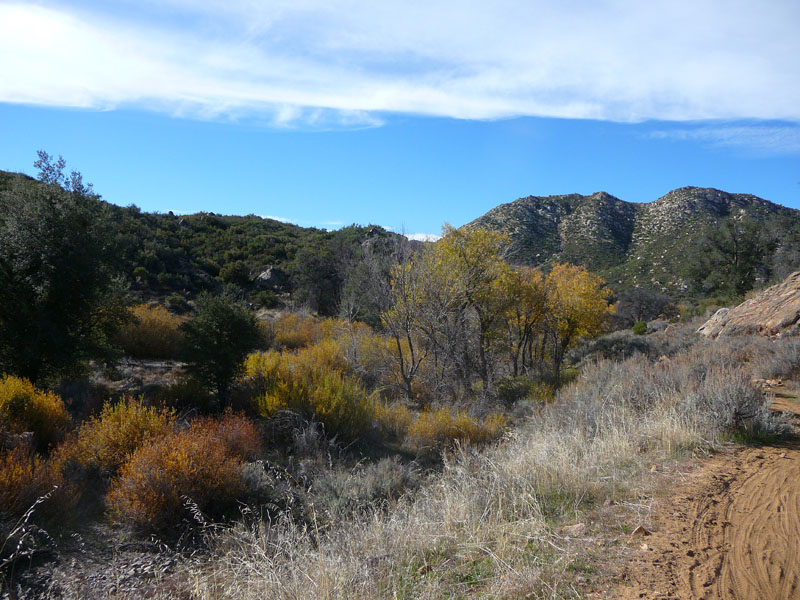 laguna-meadows-noble-canyon-58