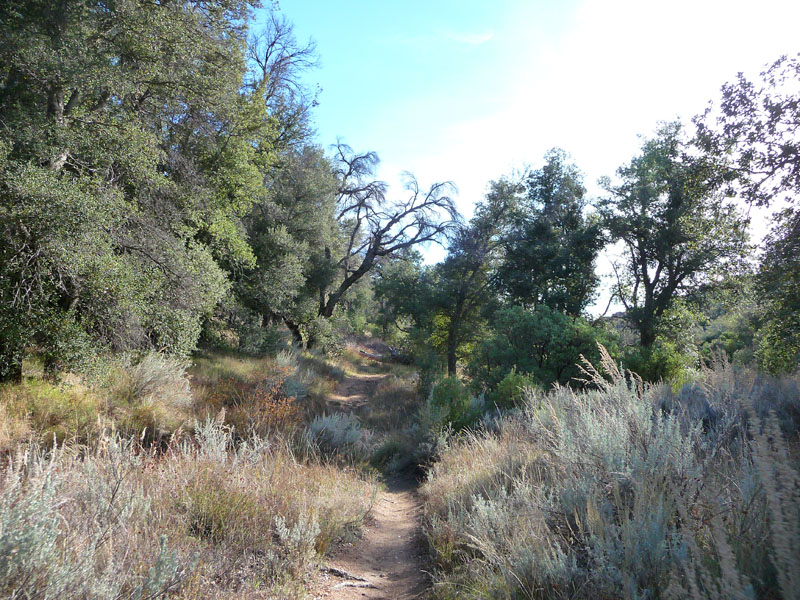 laguna-meadows-noble-canyon-59