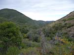 laguna-meadows-noble-canyon-31