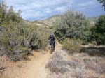 laguna-meadows-noble-canyon-45