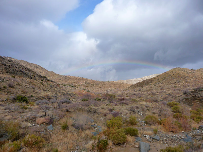 palm-canyon-38