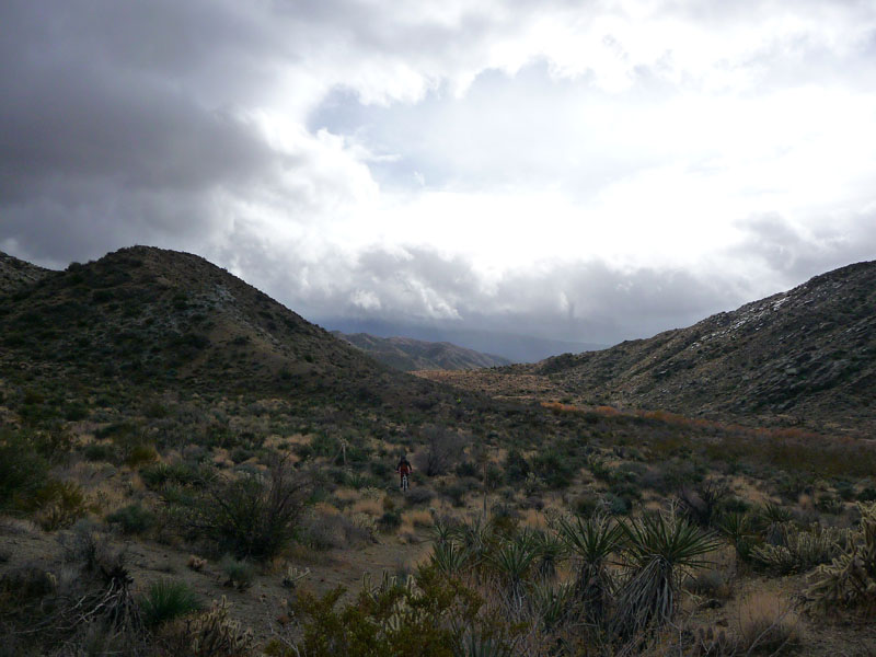 palm-canyon-43