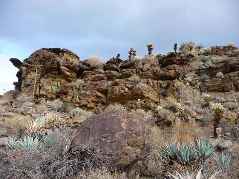 palm-canyon-70