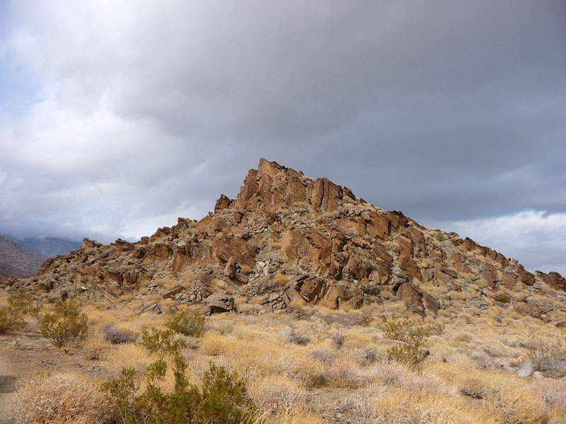 palm-canyon-75