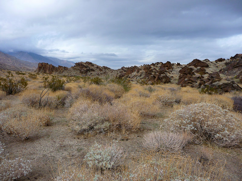 palm-canyon-76