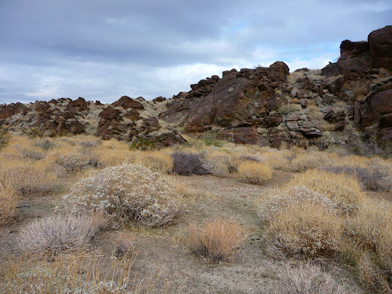 palm-canyon-77