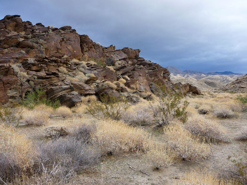 palm-canyon-80