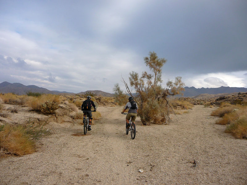 palm-canyon-86