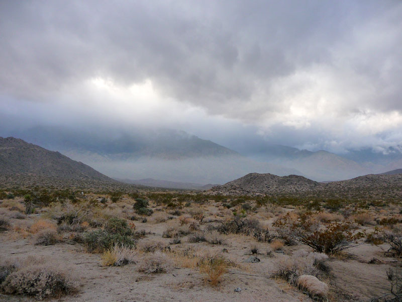 palm-canyon-87