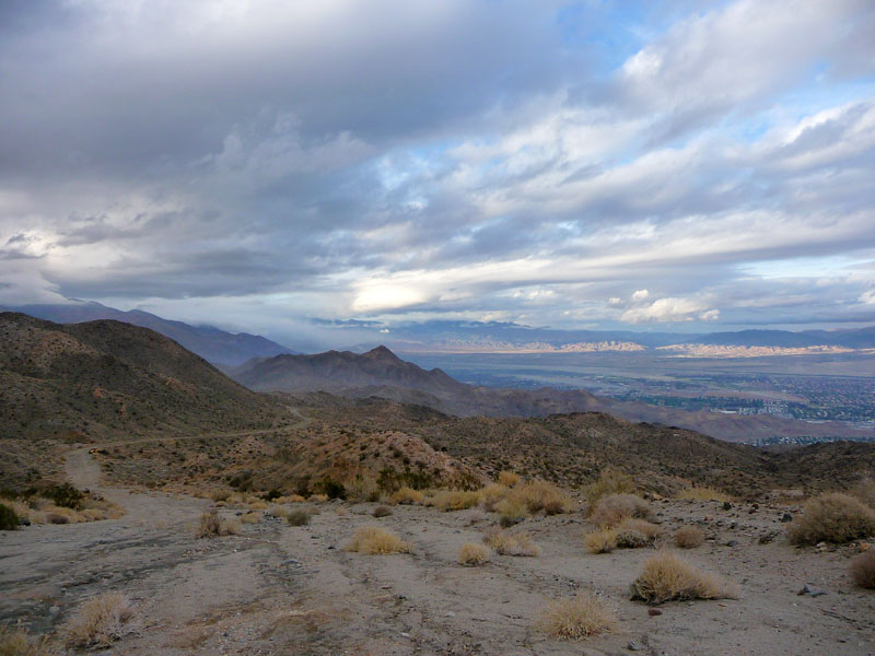 palm-canyon-89