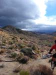 palm-canyon-49