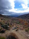 palm-canyon-50