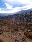 palm-canyon-51