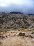 palm-canyon-54