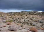 palm-canyon-65