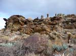 palm-canyon-70